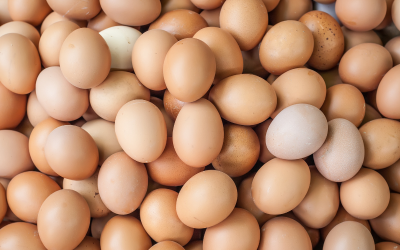 What’s at the Mansfield Farmers’ Market This Saturday – 12 September 2026