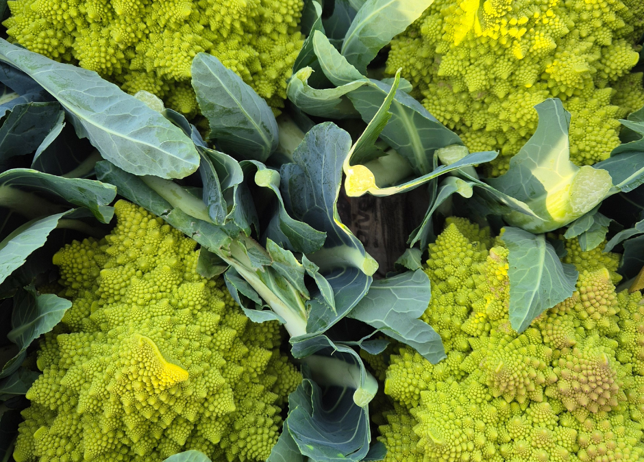 Autumn at the Market – May 2026