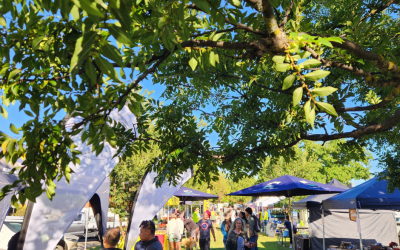 What’s at the Mansfield Farmers’ Market This Saturday – 22 August 2026